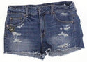 American Eagle Outfitters Women's Shorts 10