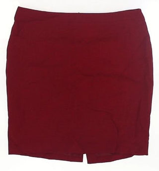 Ann Taylor Women's Skirt 18