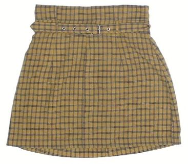 Women S Mini Skirt