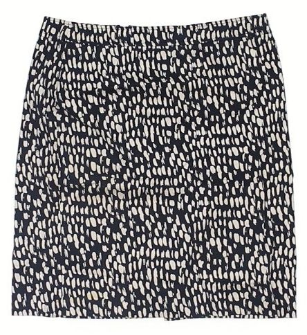 Ann Taylor Women's Skirt 18