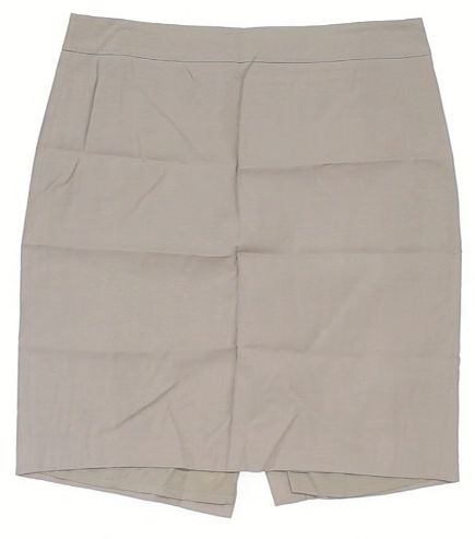 Ann Taylor Women's Skirt 18